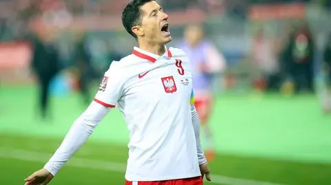 Polska - Szwecja [RELACJA]