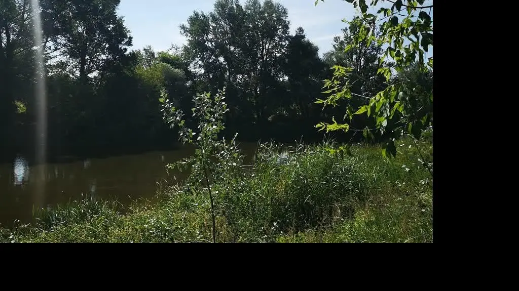 kładka bu