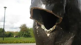 Zarząd Dróg i Zieleni szacuje wartość szkody na ok