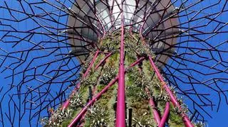 Gardens by the Bay