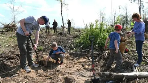 Wszyscy sadzą las. Po wichurze z 2017 roku w Rytlu wciąż brakuje drzew