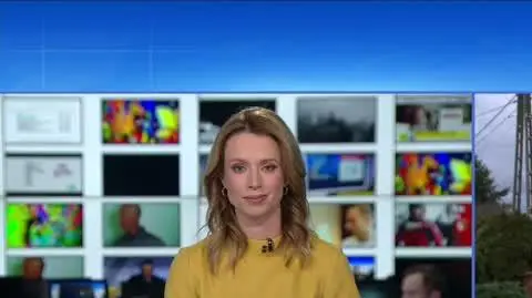 live o zbiórce dla Teosia