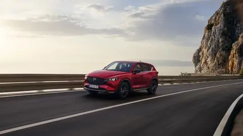 SUV skrojony do potrzeb rodzin