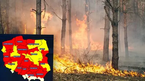 Duże ryzyko pożarów w większości kraju. "Jutro będzie jeszcze większe"