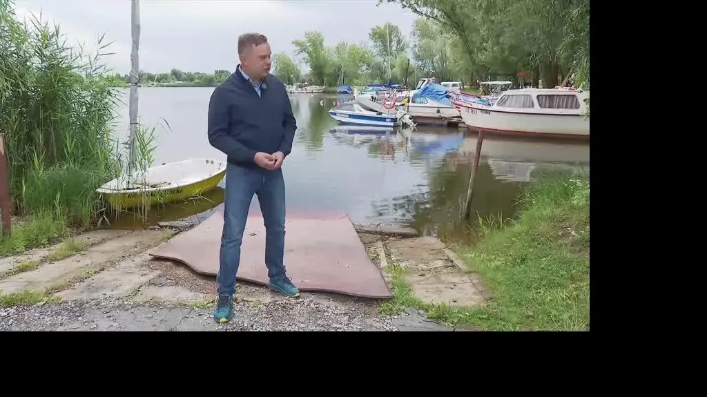 live o złotej aldze