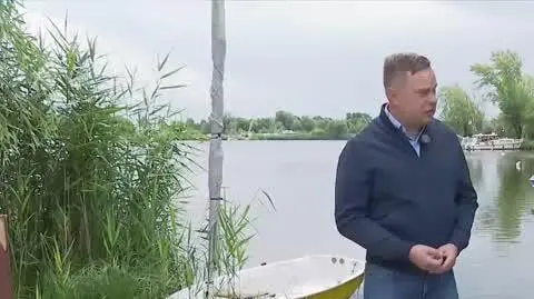 live o złotej aldze