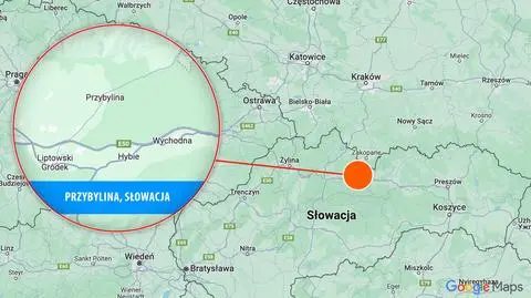 Niedźwiedź zaatakował małżeństwo z psem