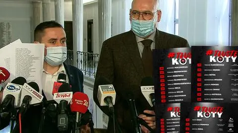 tluste koty 16