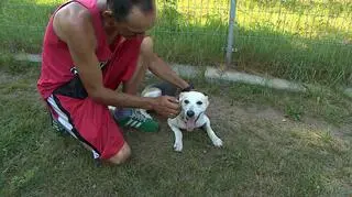 Pies na balkonie spędził przynajmniej dwa dni