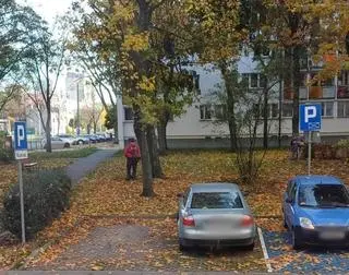 Koszenie liści na łódzkim osiedlu