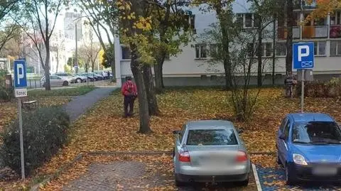 Koszenie liści na łódzkim osiedlu