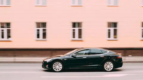tesla - Grisha Bruev shutterstock_1993072511
