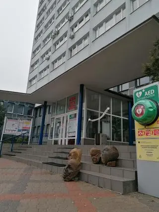 W 2021 roku artysta położył swoje prace na schodach przed magistratem 