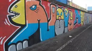 Akcjka polega na udostępnieniu przez miasto miejsc do legalnego powstawania graffiti