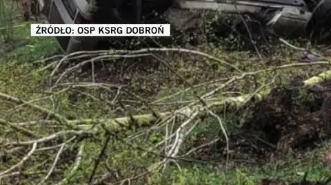 wypadek_dobron_ok
