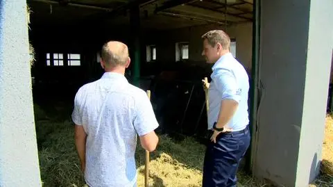 Kampanijny piątek w pigułce