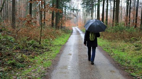 Pogoda na dziś: przydadzą się parasole, ale tylko lokalnie