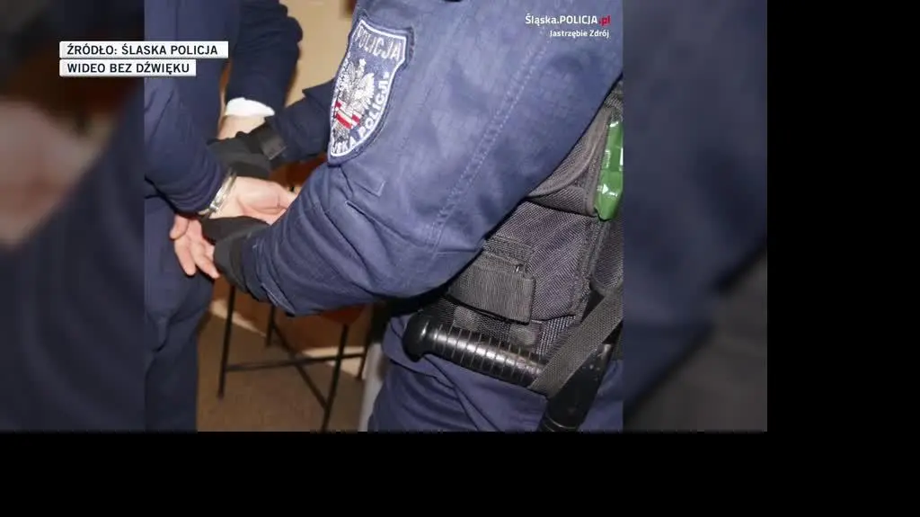 ślaska policja