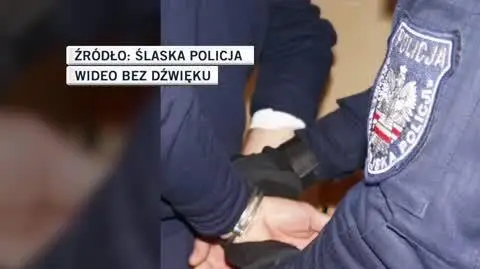 ślaska policja