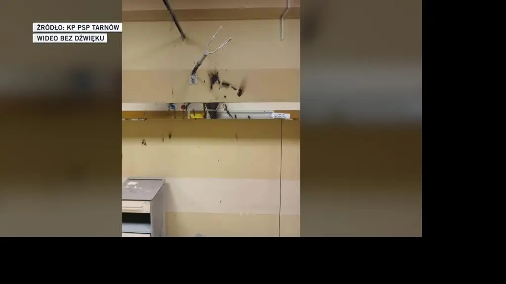 bartlomiej slideshow 