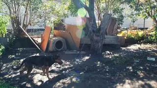 Władek w dawnym domu 