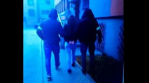 19-latka podejrzana o zabójstwo partnera matki. "Zabrał jej telefon i pokłócili się"