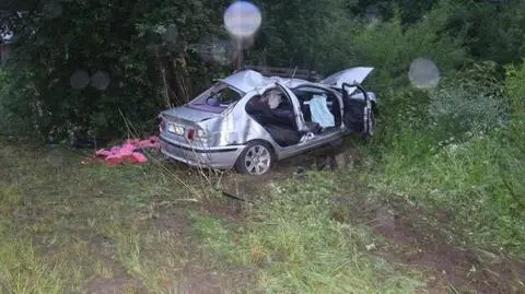Nastolatek zjechał z drogi i uderzył w słup