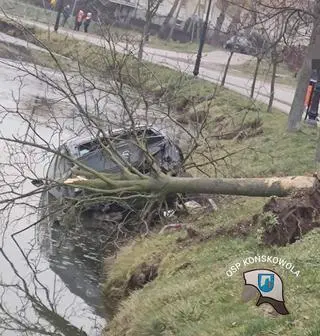 Zniszczone zostało drzewo