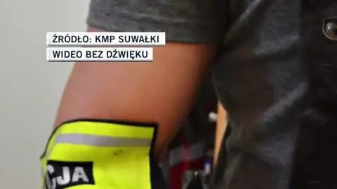 slideshow koty 