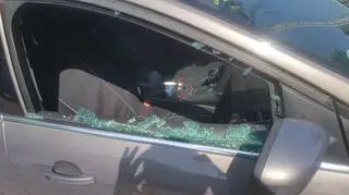 Wyczerpanego psa zauważył pieszy
