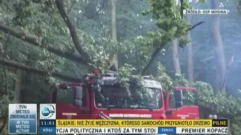Jezioro Góreckie: Strażacy szukali topielca drzewo przygniotło im wóz