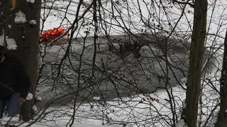 Akcja ratowania stada jeleni