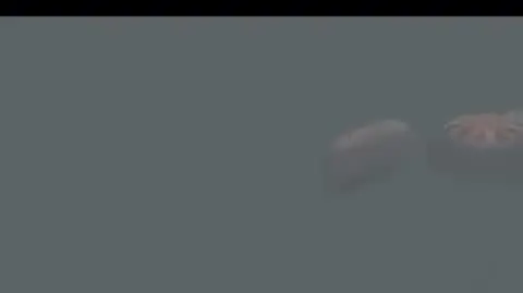 splashdown
