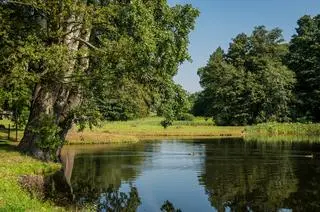 Park Myślęcinek w Bydgoszczy