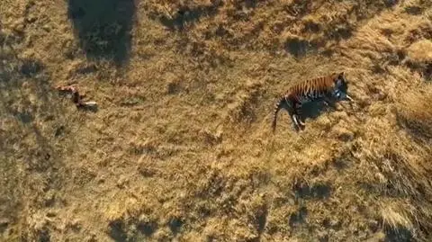 Połączeni z naturą