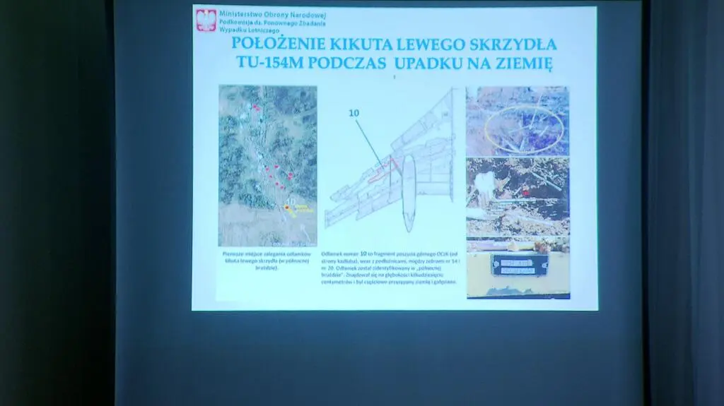 Podkomisja o położeniu kikuta lewego skrzydła