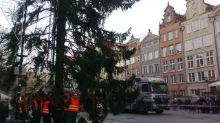 Choinka rozbłyśnie już 5 grudnia