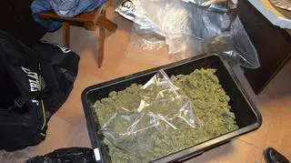 Zabezpieczono 5,3 kilograma marihuany 