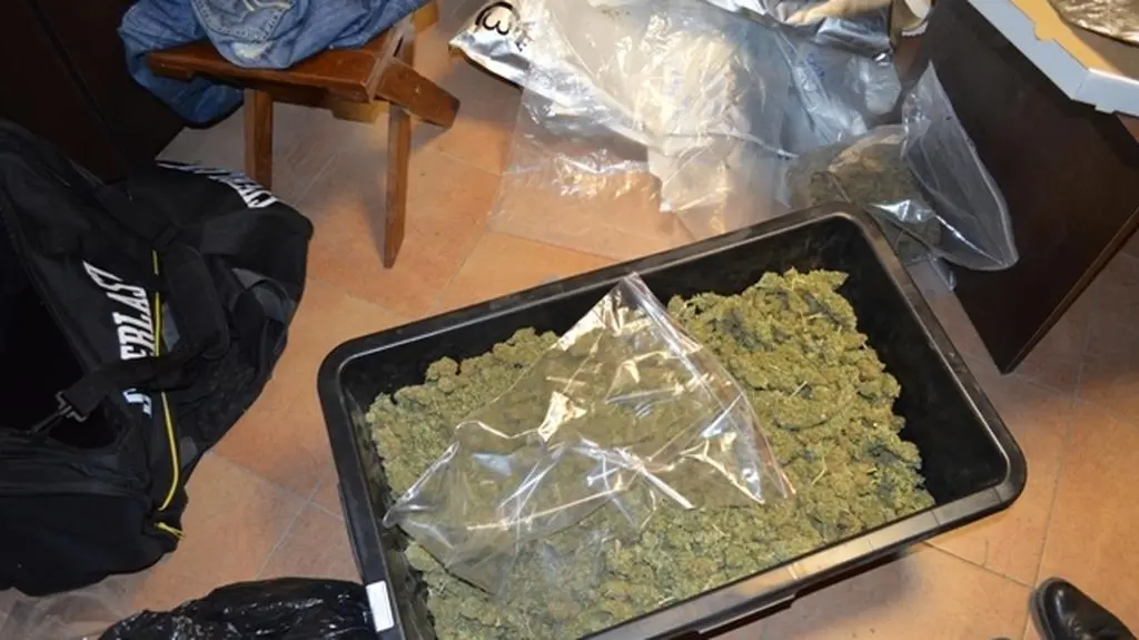 Zabezpieczono 5,3 kilograma marihuany 