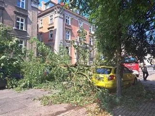 W zdarzeniu nikt nie ucierpiał