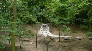 Teren dla niedźwiedzi