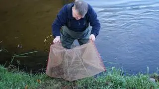 Wody Polskie planują "zaraczać" kolejne rzeki