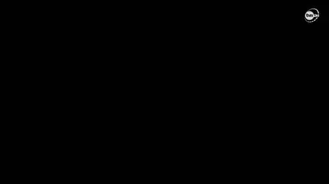 Fragment reportażu Żołnierki 