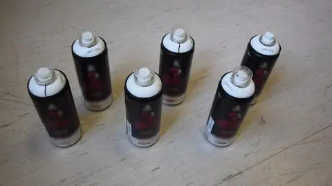 Chcieli kredą napisać "zatrzymajmy katastrofę klimatyczną" na murze Wawelu. Grozi im więzienie