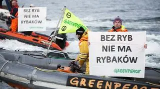 Akcja Greenpeace skierowana jest przeciwko kłusownikom