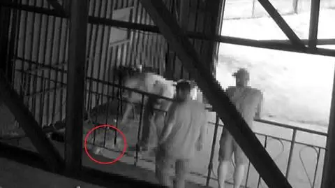 Znęcał się nad kotem, zwierzę nie przeżyło. Wszystko nagrała kamera monitoringu