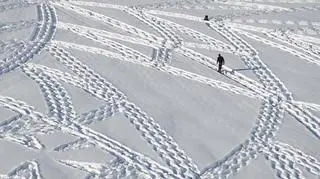 Snow Art