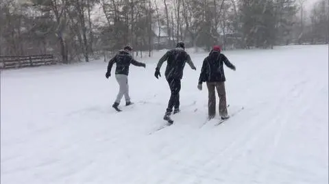 0902N345XR PIS DNZ PIESTRZYNSKA