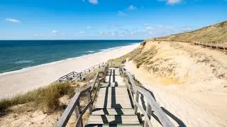Wyspa Sylt 