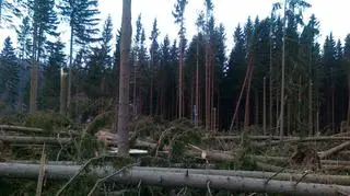 Trasy na Jamrozowej Polanie zostały zamknięte do odwołania